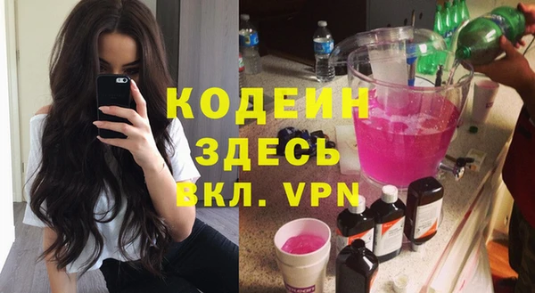 крисы Корсаков