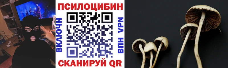 Купить закладки Волхов Галлюциногенные грибы MAGIC MUSHROOMS